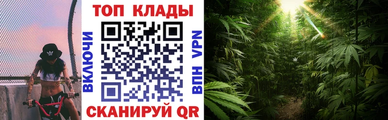 Купить закладку Метадон  Галлюциногенные грибы  ГАШ  А ПВП  Меф мяу мяу  COCAIN  Канабис  Зима