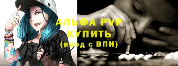 PSILOCYBIN Дмитриев