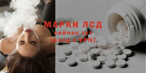 PSILOCYBIN Дмитриев