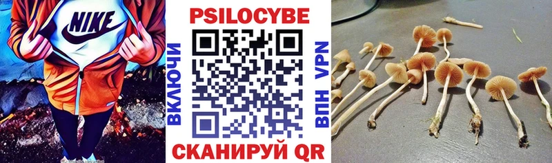 Галлюциногенные грибы ЛСД  Купить где  Зима 
