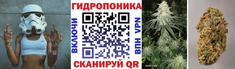 Канабис Amnesia  Купить где  Зима 